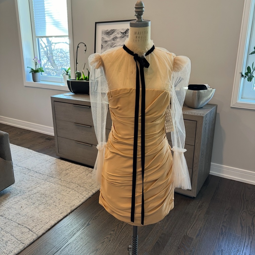 Khaite Elegant Light Gold Dress with Sheer Sleeves - Picture 8 of 11